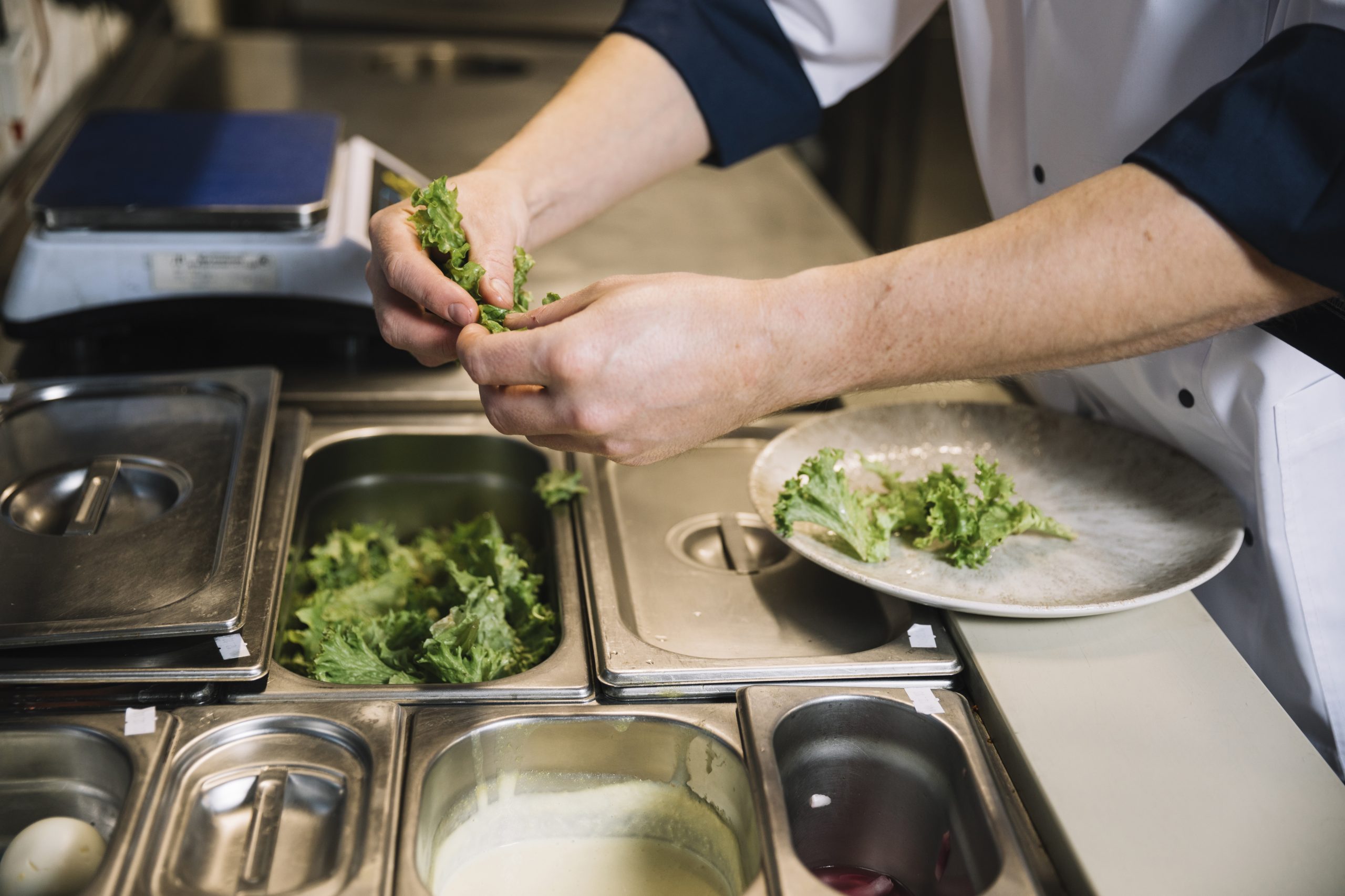 cook-putting-green-lettuce-plate